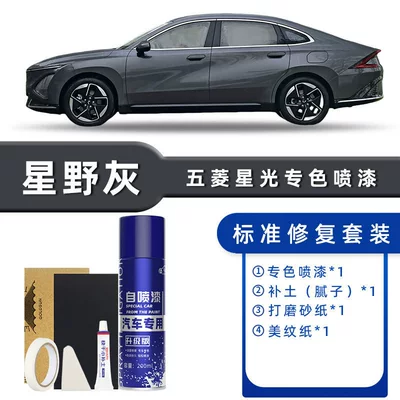 Shine White Special Automotive – Avtomobil boya qələmləri - color-classification-hoshino-gray-standard-repair-send-soil-simple-tools