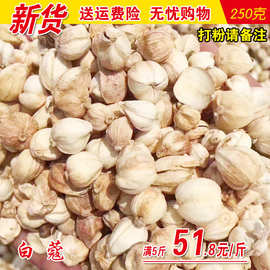 白蔻500g白扣白寇白豆蔻豆叩香料调料大全火锅烧肉卤菜调料调味料