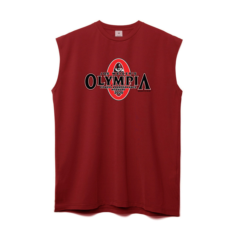 Verano de malla transpirable chaleco camiseta sin mangas de los hombres gimnasio culturismo entrenamiento muscular slim fit deportes camiseta
