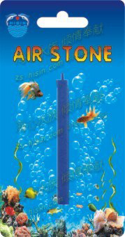 334330713_1518360834