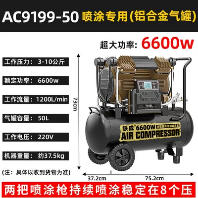 Hava kompressorları: Air Compressor Portable - tiecheng-ac9199-50l-aluminum-can-double-gun-spraying