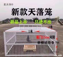 天落笼加密捕鸽神器户外抓野鸽子笼只进不出信鸽收鸽机跳笼垒德株