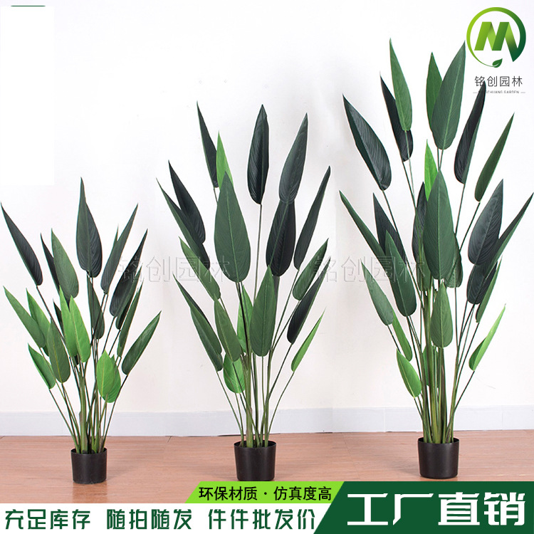 Simulación pájaro del paraíso skybird agua belleza falsa planta verde canna árbol en maceta sala de estar nórdica viajero árbol de plátano