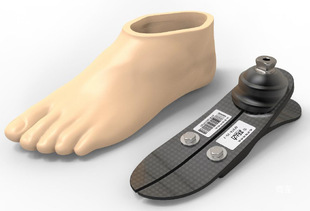 ��֫���̼�w�_���S���\�����_��ߵ����_Ƥ�����m�������_�����