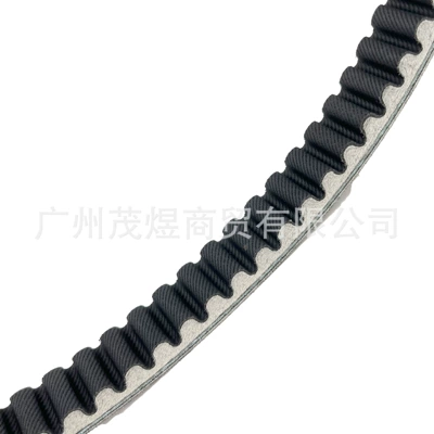 29 Ara125, Belt
