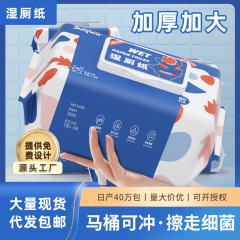 純水ウェットトイレットペーパー ファミリーお手頃パック 家庭用流せる生分解性クリーニングワイプ お手入れ可能なウェットトイレットペーパー 80ポンプ