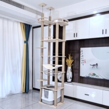 ؈ɰ��������ӿɷ��Ϸ�����ܴ���ȫ��ľ؈����һ�w���ݶ��ӄe��