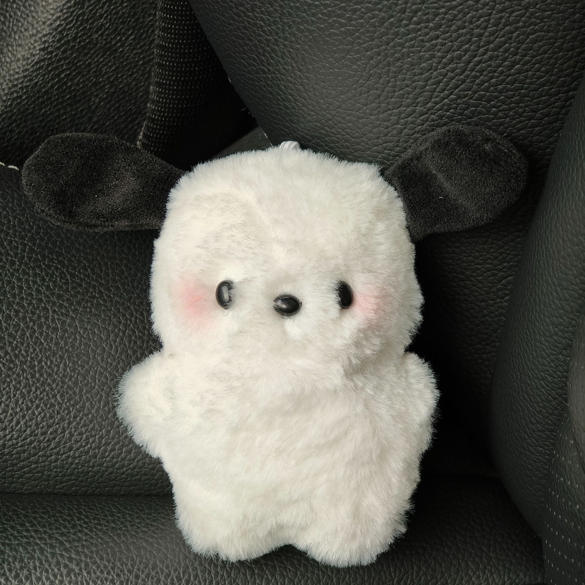 벌거벗은 파차 개