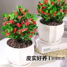 ÷FĻBļ_Сֲ҃Ȼkҿ͏dܾGֲ