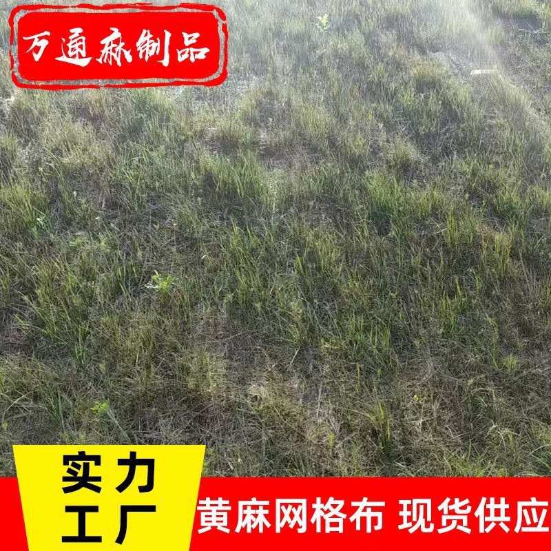 厂家批发土工黄麻网格布 公路养护黄麻网格布 边坡绿化粗麻黄麻网