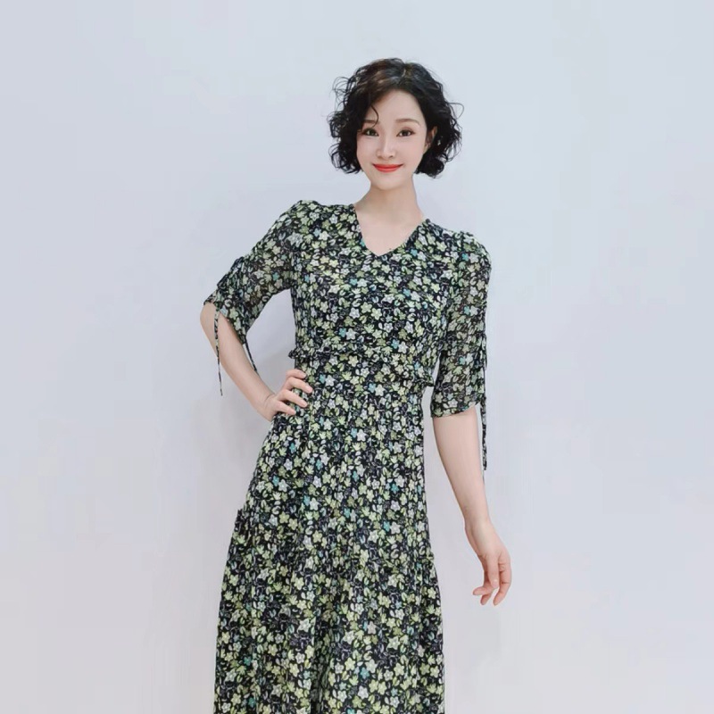 Fashionable fitted long elegant shiffon dress