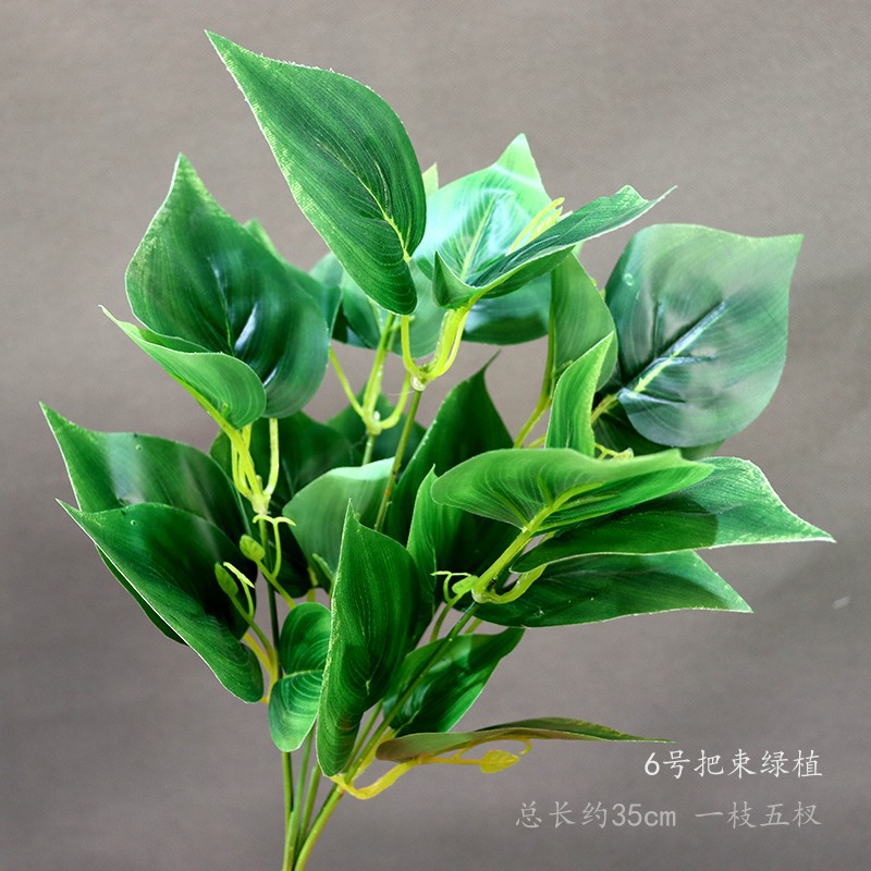 N ° 6 racimos de plantas verdes