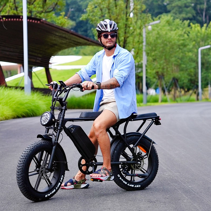 ouxi v8   ebike 电动自行车48v成人电动车双人电瓶车外贸工厂批