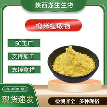 �J��95%NF11 ������ȡ�� �����J����Ҏ�� ˮ���J���� SC�S��