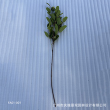 ����ʯ�s�~�R��ľ���~����~���������ʻ����N�~�ӾGɫֲ��ٻ���