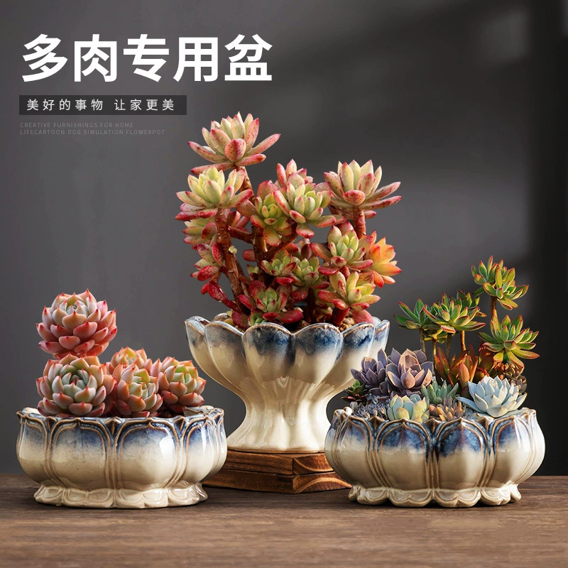 Творческий поток Глазурь Дышащий маг Дышащий мясистый цветочный горшок Керамический маленький старый ворс Зеленый цветочный горшок для посадки Крытый Настольный горшок Pauline
