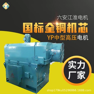 六安江淮电动机马达一级能效电机YP高压电机变频三相异步厂家正品