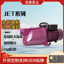 ����JET�T�Fˮ����Ӊ������Æ������������ü���������220v