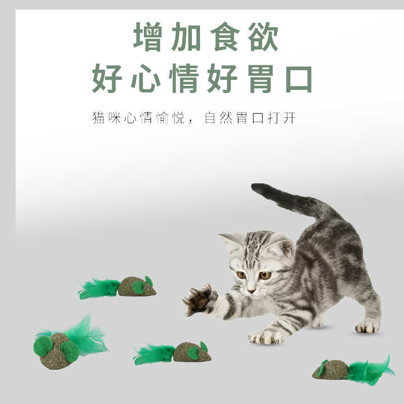 Fábrica en stock nuevo tipo de goma de menta para gatos limpiadores de dientes molares de madera de polilla de madera plumas de menta para gatos suministros de auto-hi