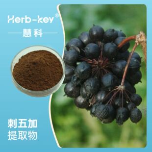 �����߰ 0.8% ����ۿ� �S�ҹ����F؛ ����ă� �������ȡ��