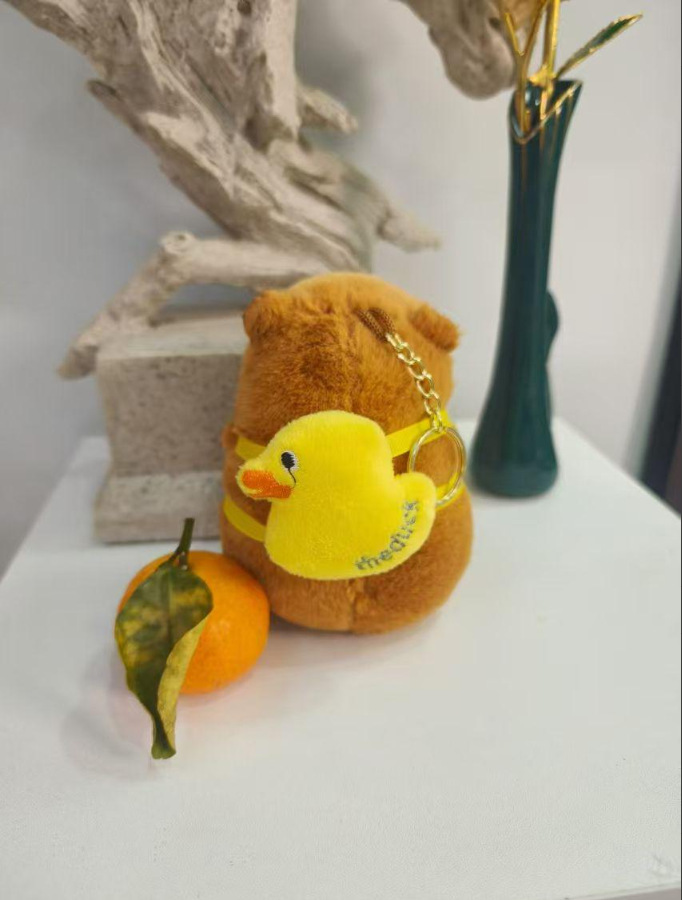 오리를 들고 있는 카피바라