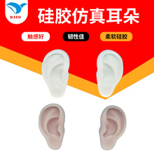 1��1����ܛ���z�����˶�����ģ�Ͷ�ᔶ��C�t�W�t���̌Wչʾ����