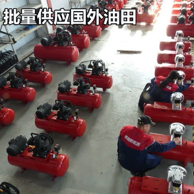 Hava kompressorları mute air pump oil and