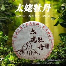 福鼎白茶原产地白牡丹太姥山300克茶饼一级茶叶一件代发多S厂家合