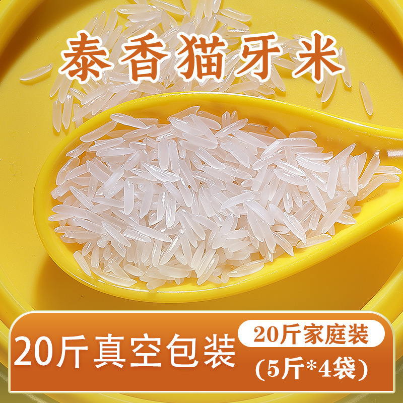 猫牙米10斤泰香米长粒香大米丝苗米煲仔饭米大米2024年新米批发|undefined