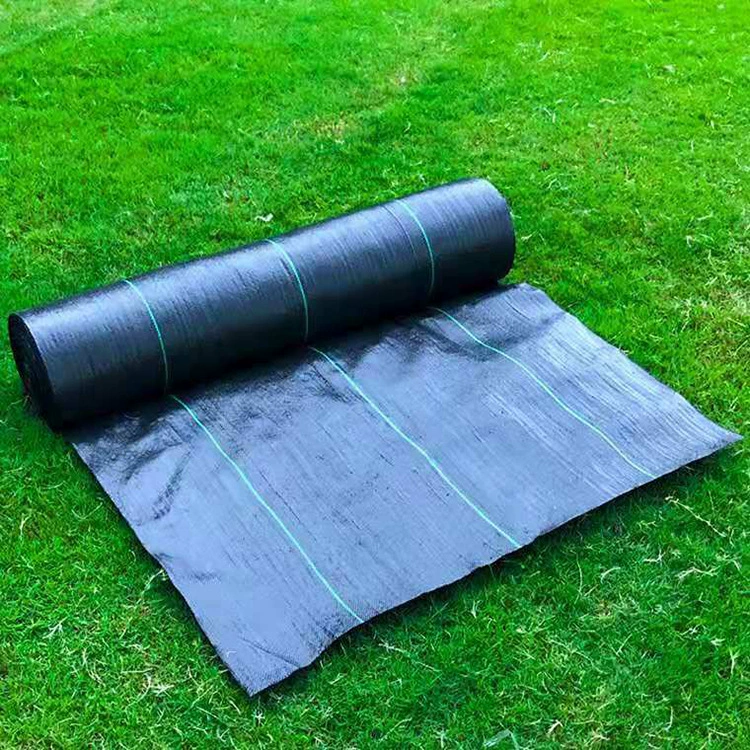 Фабрика прямых продаж фруктовый сад против травы