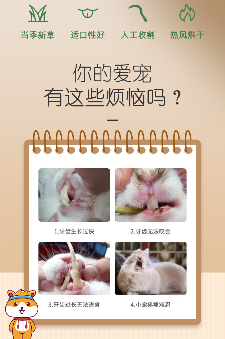 5d096f11-20a7-42b1-bcfe-ed220946cca2.jpe