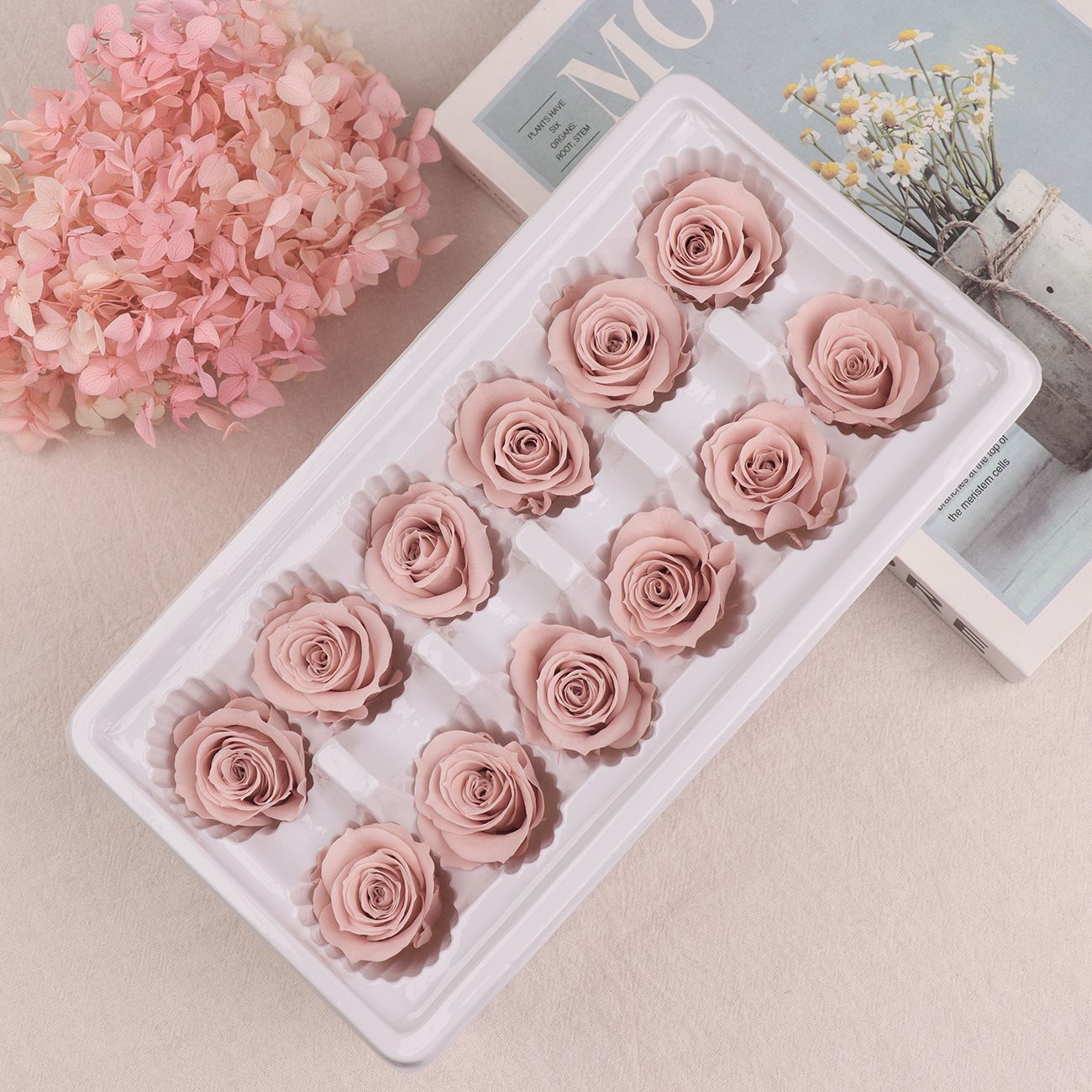 Cabezas de Rosa Eternas A+, 3-4 cm, 12 Piezas, Materiales para Manualidades Florales, Caja de Regalo, Fabricante, Venta al por Mayor