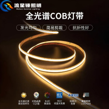 COB����ճ12V24v�͉�LED����ܛ���l��픙����̈��b������Ο�