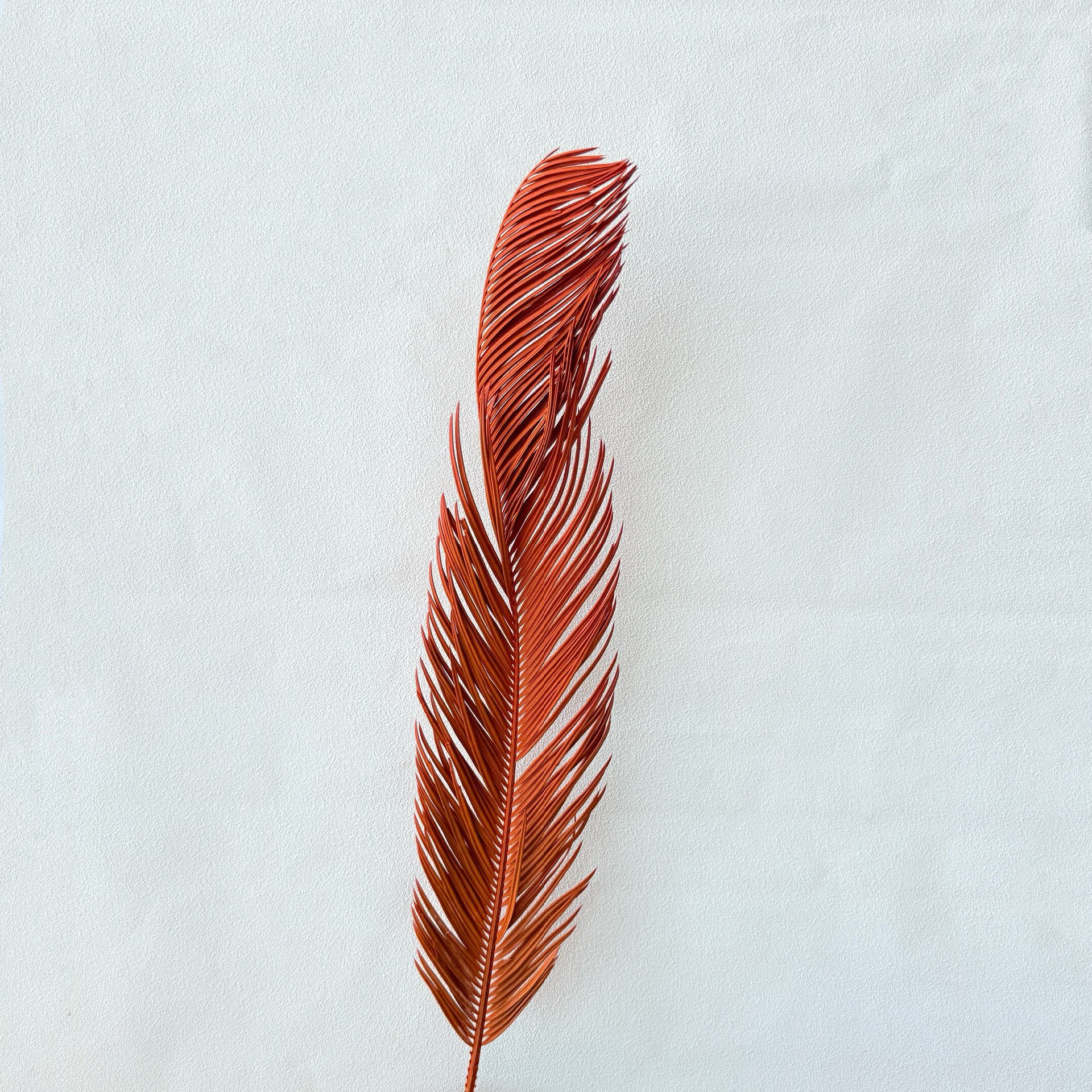 철 잎 오렌지 레드