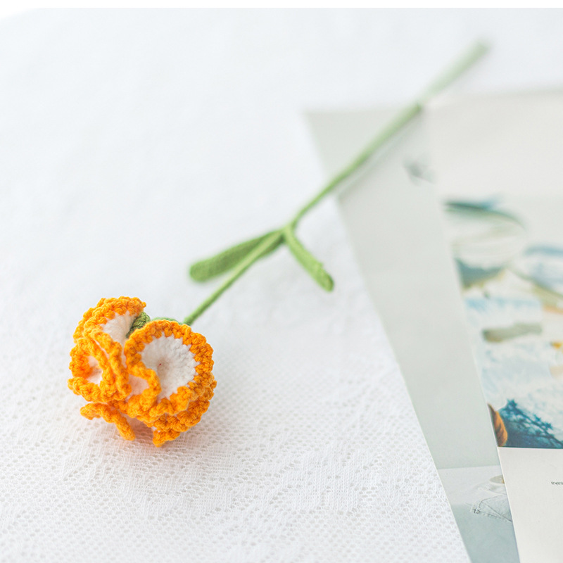 완성 된 그라디언트 오렌지 카네이션 단일 잎 랜덤