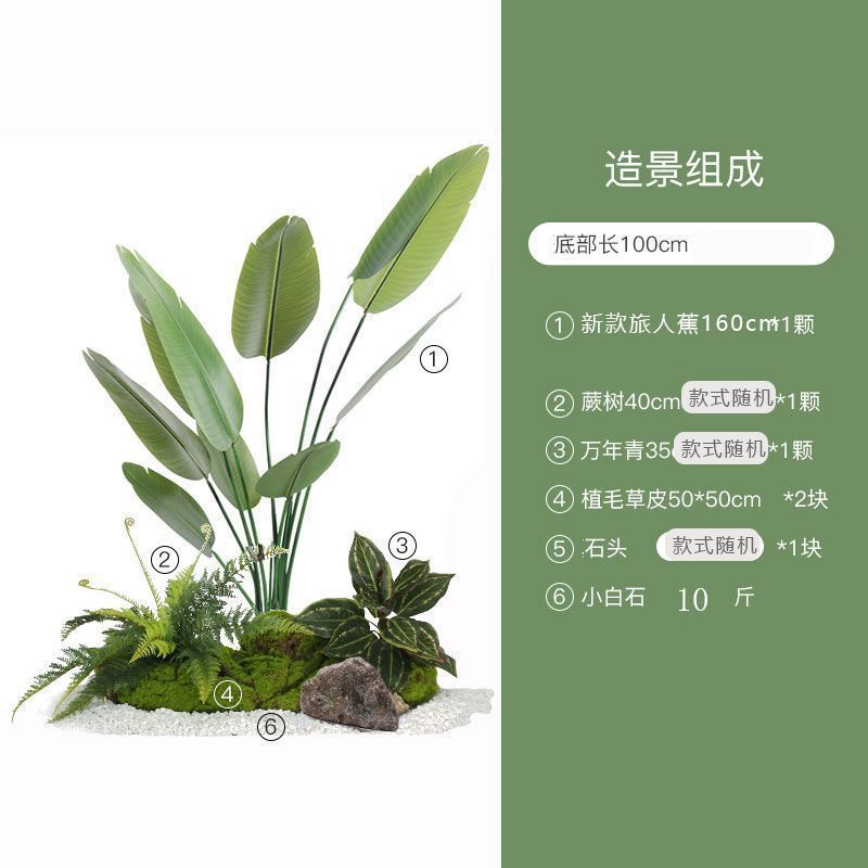 南天竹造園緑植物屋内階段下景観植物床置き鉢植えモデルルーム装飾|undefined