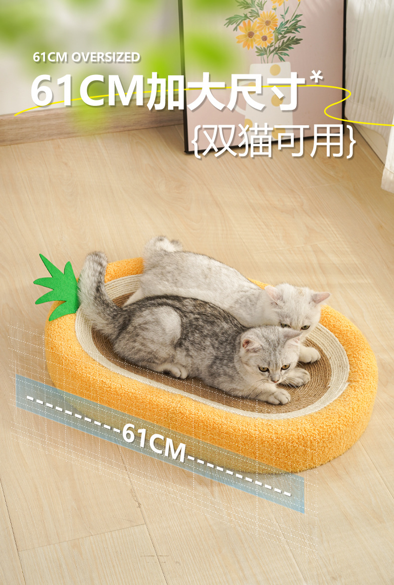 菠萝剑麻盆_03.jpg