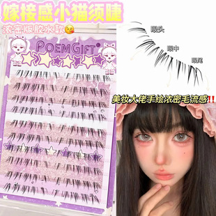 �Б�С؈��½�ë�ٽ�ë���L�޽Ӹ�Ұ��ë���к�ϵ���z�¼ٽ�ë