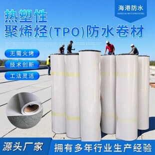 �����Ծ�ϩ�N(TPO)�����Ҳ�䓷����B�N�ƶ��Ʒ��B��©TPO��ˮ����