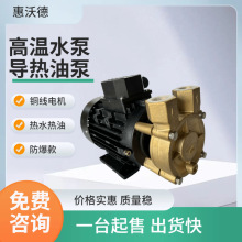 供应WD-05-120热水泵0.37kw铜叶轮模温机高温管道循环离心泵