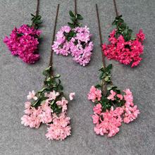 ޱٻ컨Ʒcû쾰߼п͏d廨[