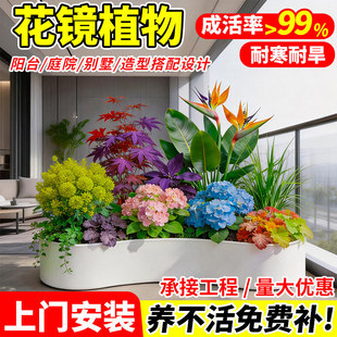 ���Rֲ������OӋ�ļ������ͺ��ͺ��ر���ͥԺ�쾰�������͘�ֲ��