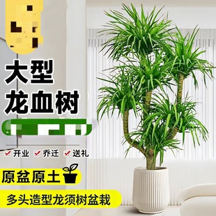 ���^��Ѫ��������횘������k���҃���͏d�p�ӆ��w��լ��ĳȩ�՚�