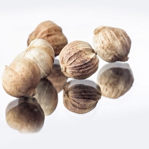 Bulk Selected White Cardamom  New Arrival Fully Dried Sulfur-Free Original White Cardamom Round Cardamom for Braised Pork Spices