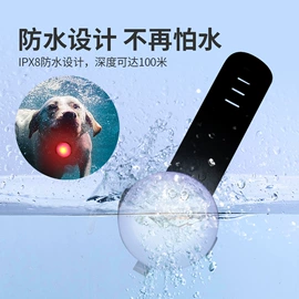 狗狗牵引;狗狗服装;狗狗玩具