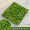 Deadwood moss 50×50