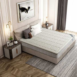 乳胶冰丝透气床垫简约现代1.8米1.5米双人床弹簧床垫厂家批发