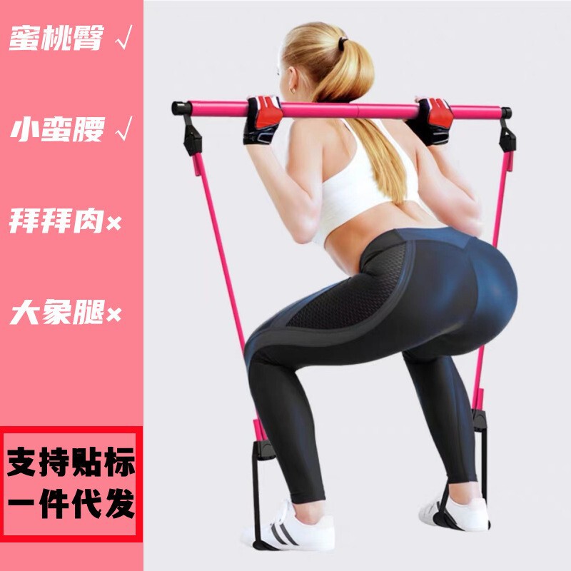 二節のプラティ棒の運動のフィットネスの器材の家庭用ヨガは腹を収めます。|undefined