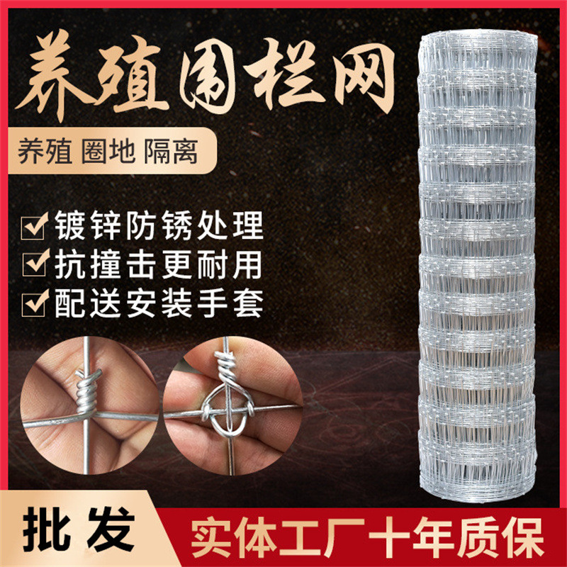 镀锌防锈养殖牛栏网铁丝网围栏 养鸡护栏网养牛养羊果园围栏网厂