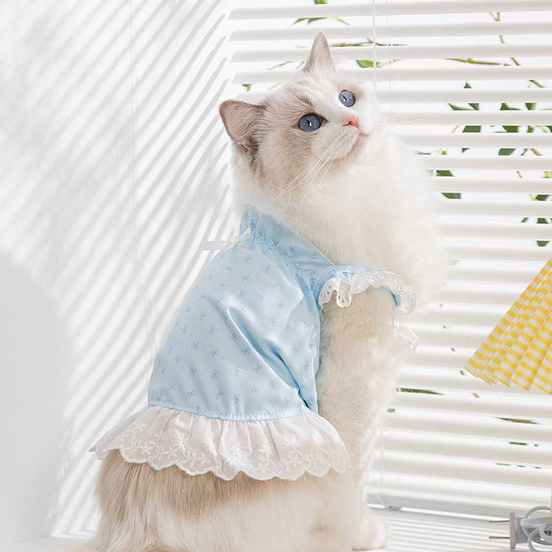 Gato primavera verano dama viento ojos mariposa encaje encaje tirantes falda perro falda peluche mascota gato ropa